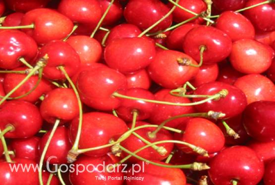 Owoce i warzywa w szkole - Promocja zdrowego odżywiania w szkołach