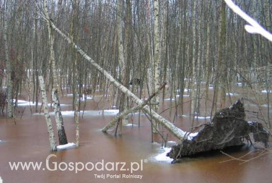 Wraz z nadejściem wiosny powraca temat powodzi
