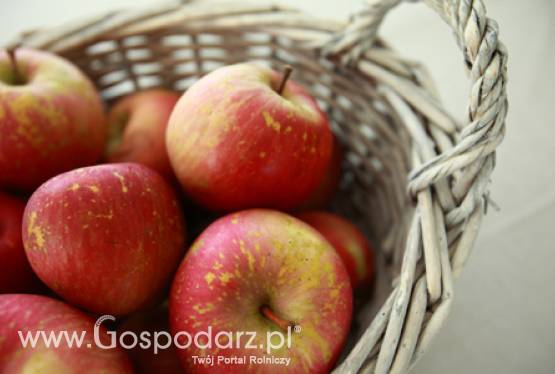 Lista szkół zgłoszonych do programu Owoce w szkole