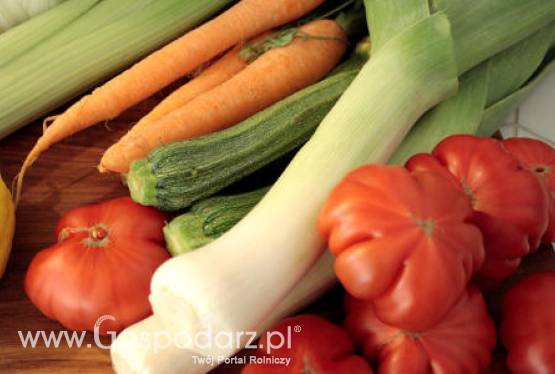 Eksport polskich warzyw na niezmienionym poziomie