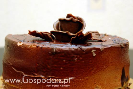 Rekord Guinnessa w Rzeszowie