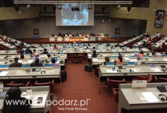 FAO/WHO: 38. sesja Komisji Kodeksu Żywnościowego