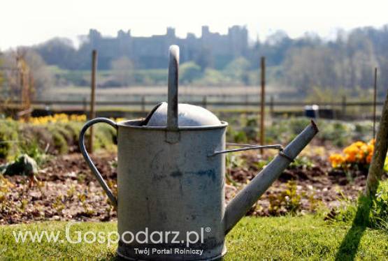 Los ogródków działkowych został rozstrzygnięty