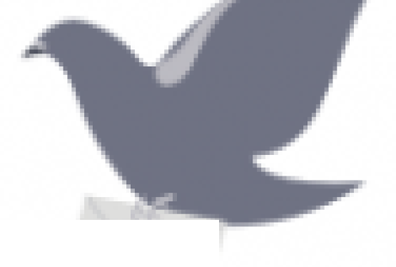 Wystawa Gołębi Pocztowych 2015