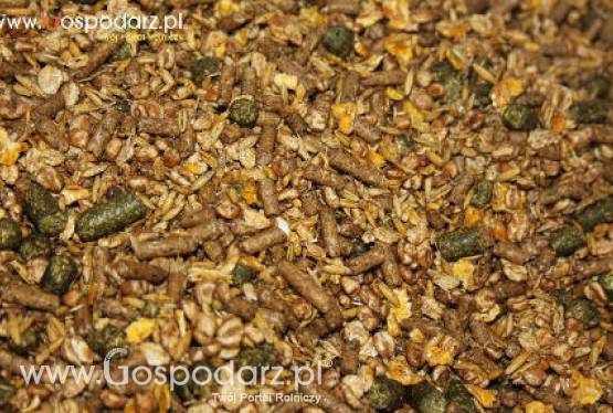 „Pasze GMO a produkcyjność i zdrowotność zwierząt”