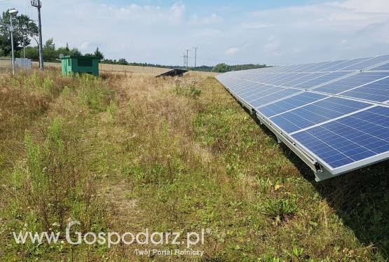 Wezmę w dzierżawę pola/łąki/nieużytki - 10 000 zł rocznie/hektar - cała Polska