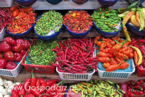 Macedonia – Wzrost produkcji przetworów owocowo-warzywnych