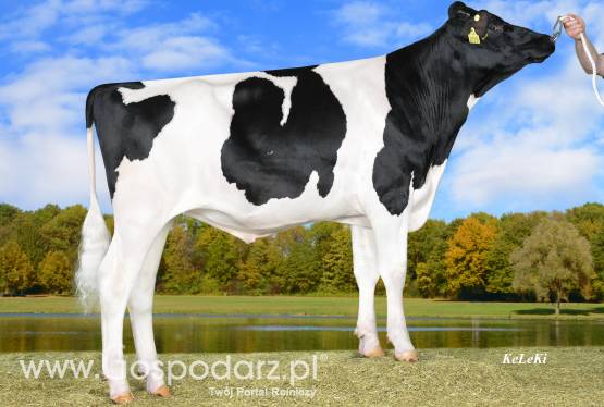 HF czarno-biały wycena genomowa:  Soundbar