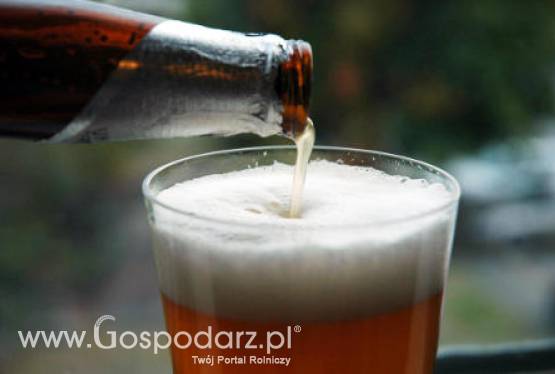 Odkryto gen odpowiedzialny za pociąg do alkoholu