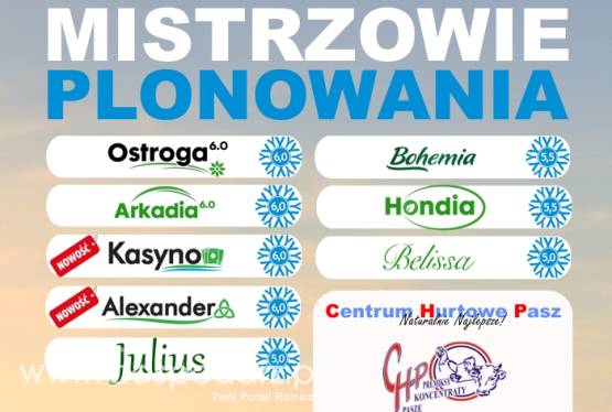 Kwalifikowany materiał siewny zbóż ozimych