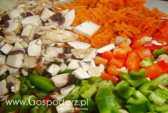 Szef WIR z optymalnymi w Sejmie