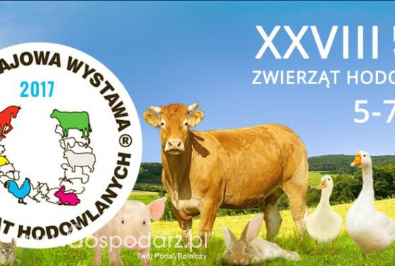 XXVIII Krajowa Wystawa Zwierząt Hodowlanych