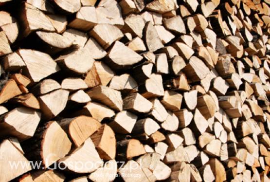 Kolejne udogodnienia dla biogazowni rolniczych