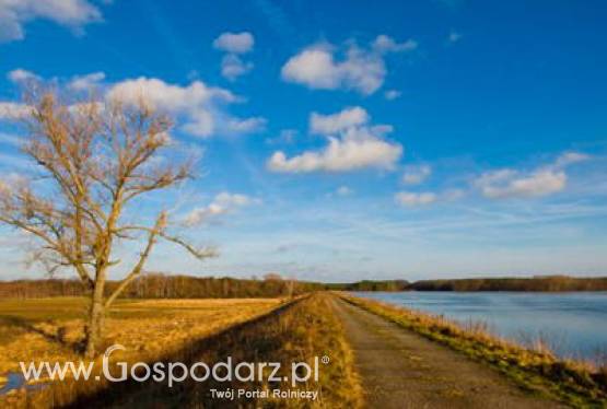 Krzesiński Park Krajobrazowy