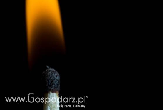 Wypalanie traw w marcu sięgnęło już 10 tysięcy zgłoszeń