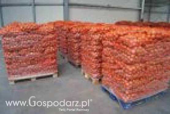 Cebula worek raszel 15 kg