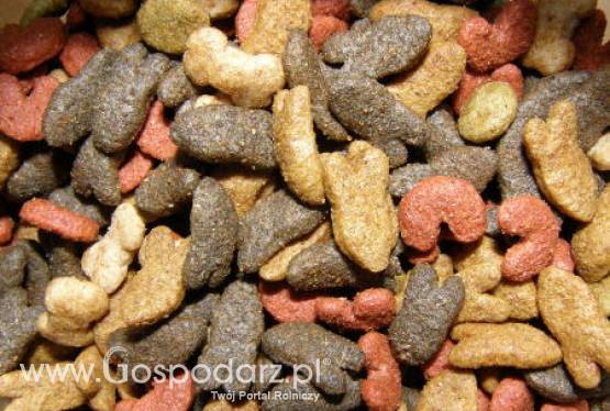 Chiny – Wyprodukowano toksyczną paszę