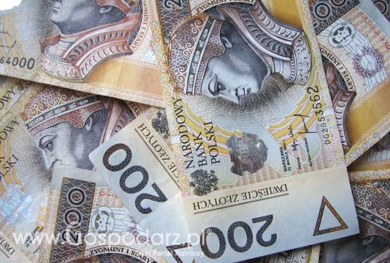 Kredyty bankowe, Avida Sp. z o.o.