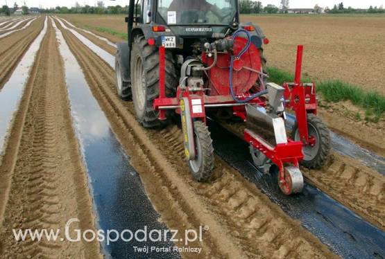 Siewnik do ogórka MAX PNEUMATIC