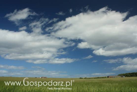 Międzynarodowe seminarium ANR