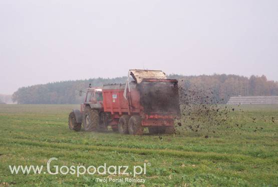 Rozrzutnik do obornika i wapna EV 2000 130-50 BG 10 TON