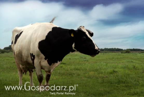 Rok kwotowy ARR OT w Poznaniu