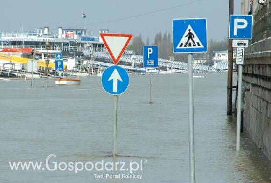 Dobiega końca nabór wniosków o wsparcie na odbudowę gospodarstw zniszczonych przez powodzie