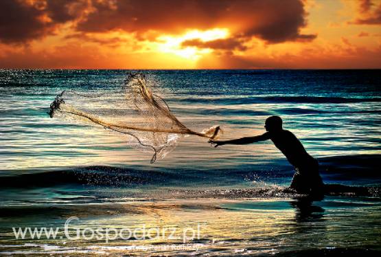 Japonia – Rybacy walczą o odszkodowanie po marcowych wybuchach