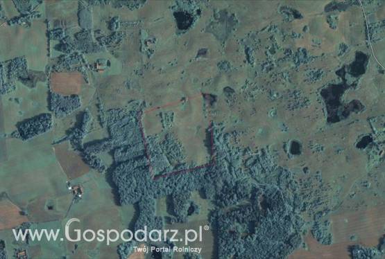 Atrakcyjna krajobrazowo działka rolna o powierzchni 7,95 ha