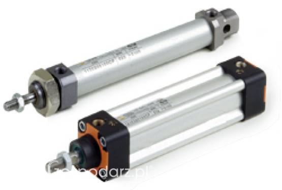 SIŁOWNIKI PNEUMATYCZNE