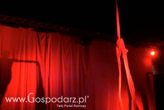 Lely pozytywnie zaskoczyło