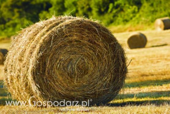 Forum Rolnicze Południowej Wielkopolski