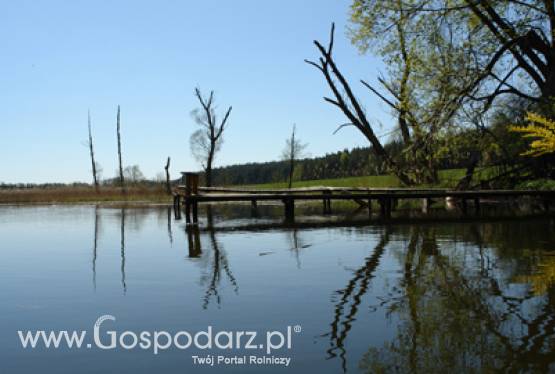 Atrakcyjne grunty na Warmii