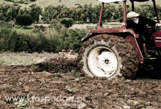 Zatrudnianie cudzoziemców przy pracach sezonowych w rolnictwie