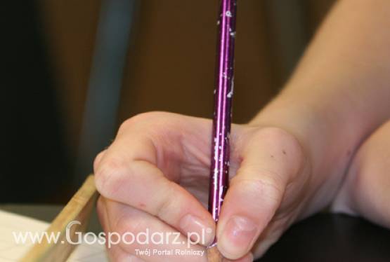 Wnioski o przyznanie pomocy z działania Wdrażanie lokalnych strategii rozwoju