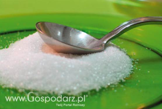 Krajowa Spółka Cukrowa (KSC) wchodzi w decydujący etap prywatyzacji