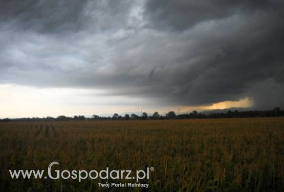 Pomoc dla poszkodowanych w wyniku niekorzystnych zjawisk atmosferycznych w ramach PROW 2007 - 2013