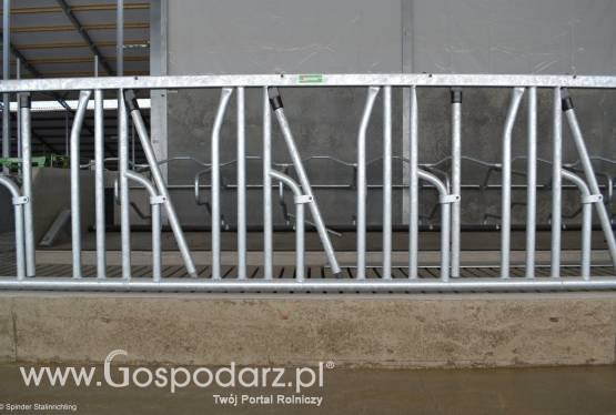 Bezpieczna drabina zatrzaskowa Spinder