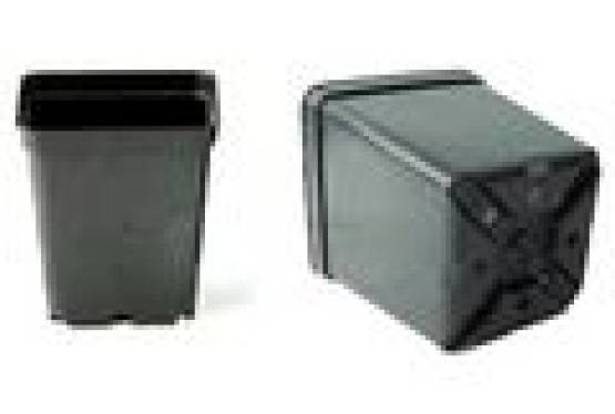 Doniczki prostokątne szkółkarskie, szeroki wybór IGLACO