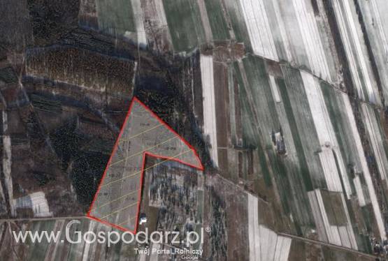 Na sprzedaż grunt(7 działek)11 Ha, w tym 2 Ha pod zabudowę-grunty orne