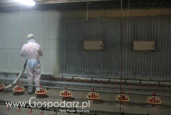 Piana pur- Izolacje,Izomedia