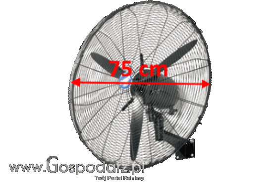 Wentylator przemysłowy FDE75 WL 750 mm 250W