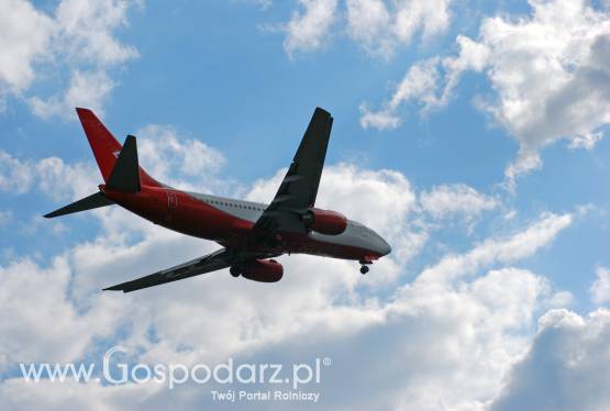 KIB partnerem konferencji Promocja biopaliw w transporcie drogowym i lotniczym