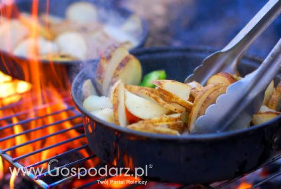 Polska Krajem Partnerskim na targach „Zielony Tydzień” w Berlinie