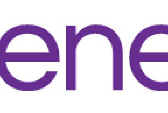 WYDZIERŻAWIĘ GRUNTY POD FARMĘ FOTOVOLTAICZNĄ