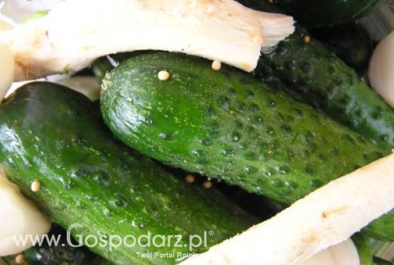 Pieniędzy na promocję polskiej żywności nie brakuje