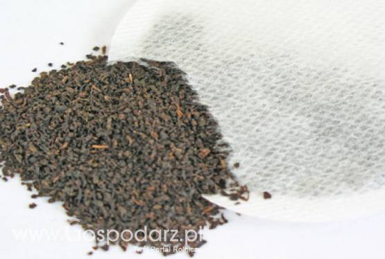 Nazwa herbaty Darjeeling zarejestrowana jako chronione oznaczenie geograficzne