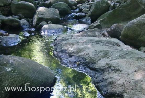 Rozporządzenie dot. Programu rolnośrodowiskowego