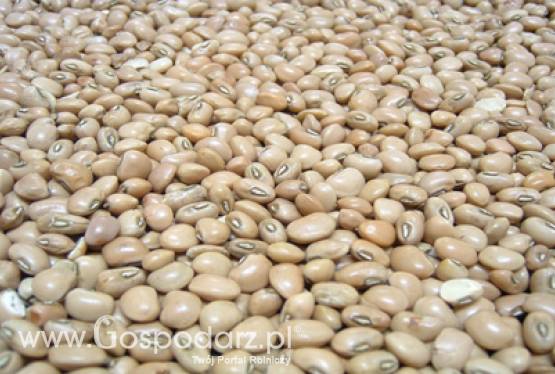 Piękny Jaś z Doliny Dunajca ze znakiem ChNP