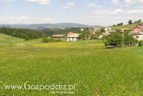 Rozporządzenie ws. przywracania potencjału produkcji rolnej